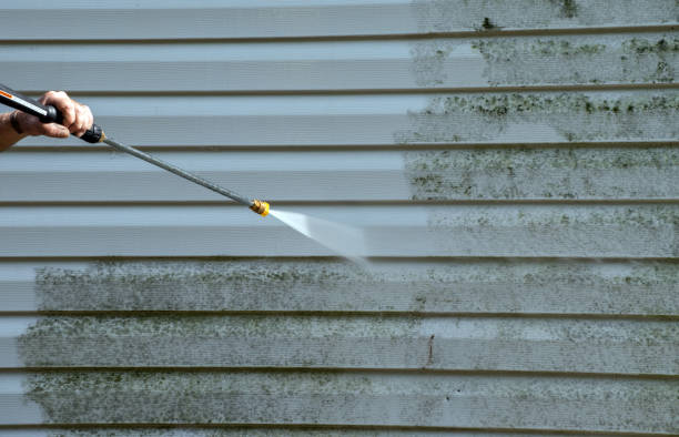 Best Roof Pressure Washing  in Fairview, NC